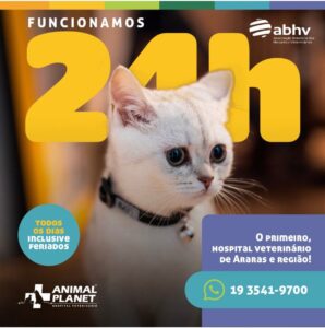 Leia mais sobre o artigo Você precisa de um Hospital Veterinário completo que atende 24 horas
