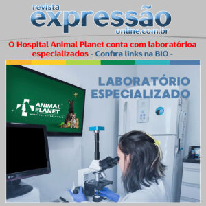 Leia mais sobre o artigo O Hospital Animal Planet conta com laboratório especializados