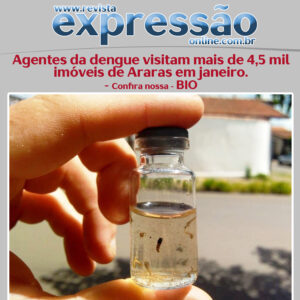Leia mais sobre o artigo Boletim da dengue: agentes do Controle de Endemias visitaram mais de 4,5 mil imóveis de Araras em janeiro.