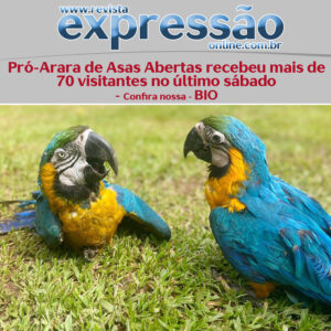 Leia mais sobre o artigo Pró-Arara de Asas Abertas recebeu mais de 70 visitantes no último sábado