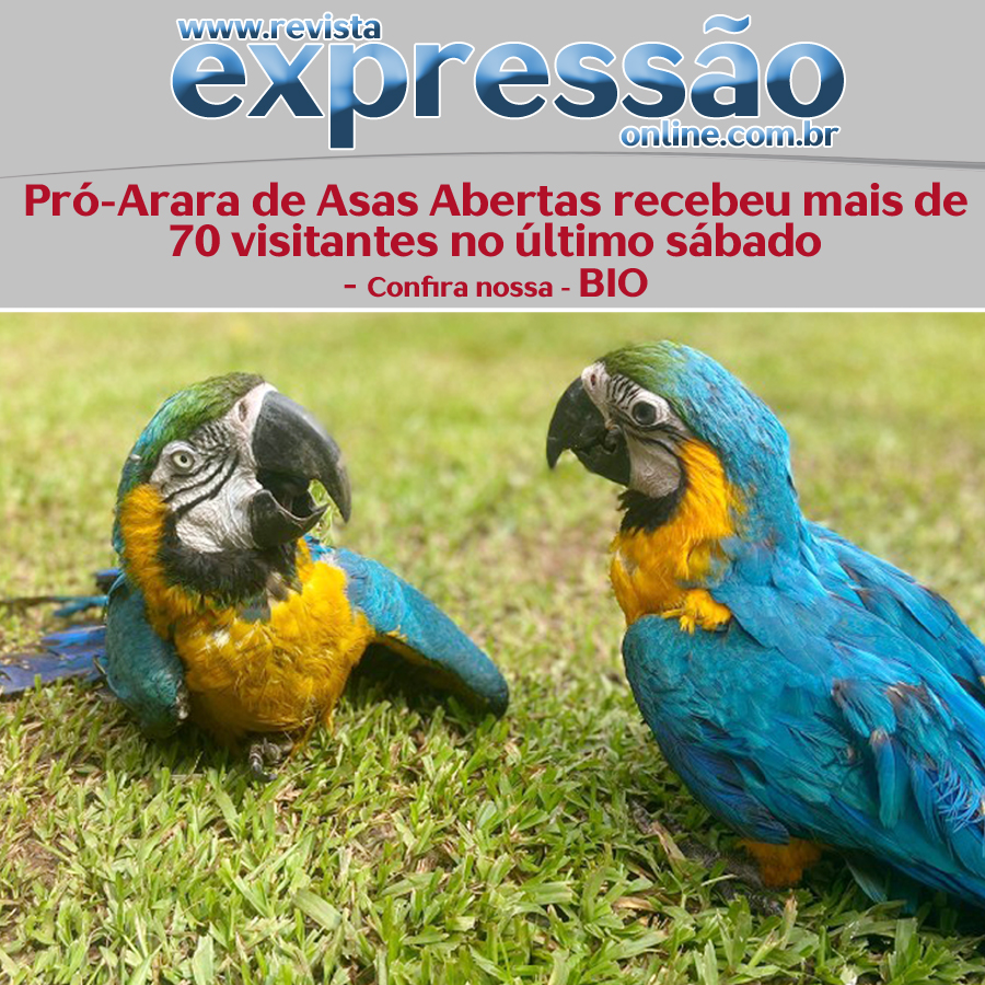 Leia mais sobre o artigo Pró-Arara de Asas Abertas recebeu mais de 70 visitantes no último sábado