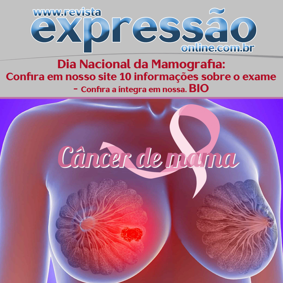 Leia mais sobre o artigo Dia Nacional da Mamografia: 10 informações sobre o exame que toda mulher precisa saber