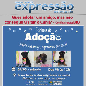 Leia mais sobre o artigo Quer adotar um amigo, mas não consegue visitar o Canil?