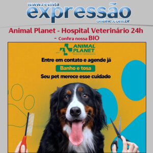 Leia mais sobre o artigo Animal Planet Hospital Veterinário 24h