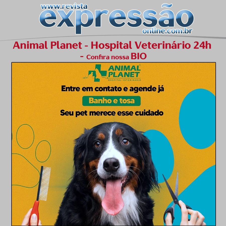 Leia mais sobre o artigo Animal Planet Hospital Veterinário 24h