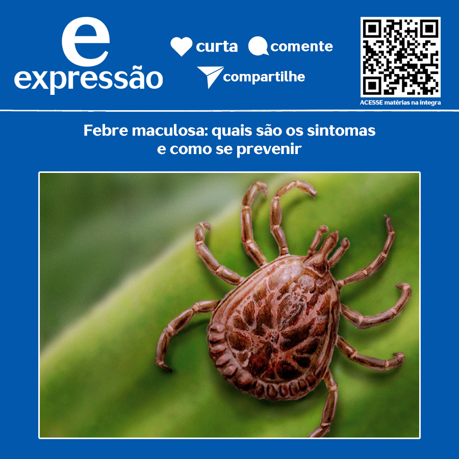 Leia mais sobre o artigo Febre maculosa: quais são os sintomas e como se prevenir