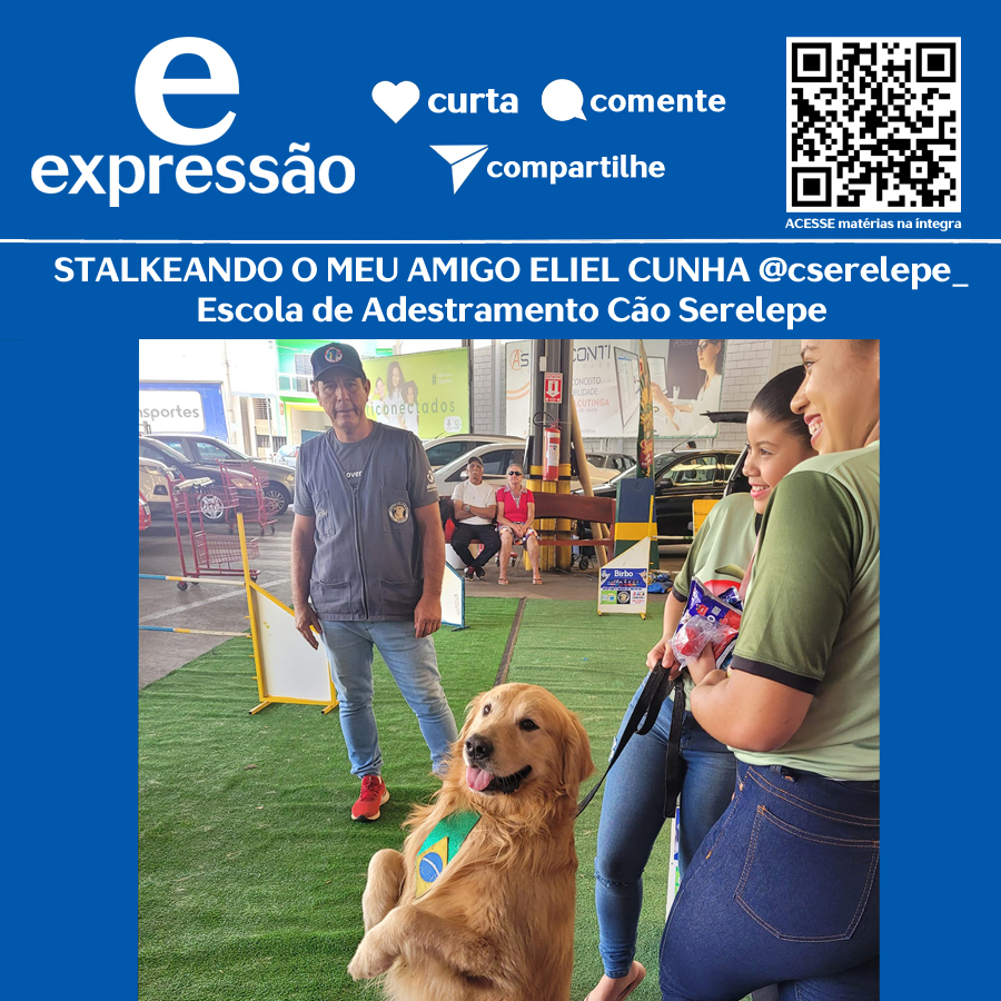 Leia mais sobre o artigo Cão Serelepe – Escola de Adestramento