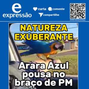 Leia mais sobre o artigo Que carona boa… Arara Azul pousa em braço de PM.