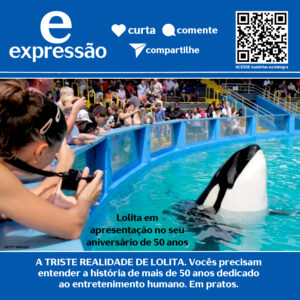 Leia mais sobre o artigo A TRISTE REALIDADE DE LOLITA. Vocês precisam entender a história de mais de 50 anos dedicados ao entretenimento humano.