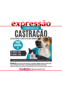 Leia mais sobre o artigo Associação 4 Patinhas – Campanha de castração – Castrar é um ato de amor.   
