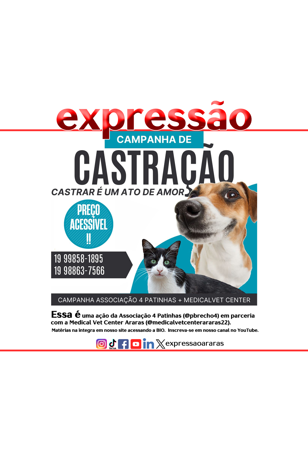 Leia mais sobre o artigo Associação 4 Patinhas – Campanha de castração – Castrar é um ato de amor.   